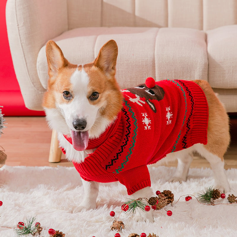 🔥Christmas Promotion 49% Off🔥Pets' Christmas Warm Clothes