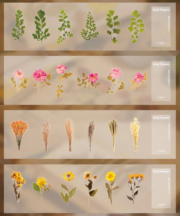 48 Pcs Big Size Dried Flowers Stickers Set