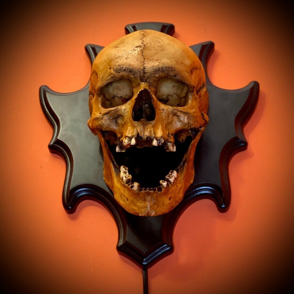 (🎃HALLOWEEN PRE SALE - 49% OFF) Skull Lamp“Singing Head”Night Light