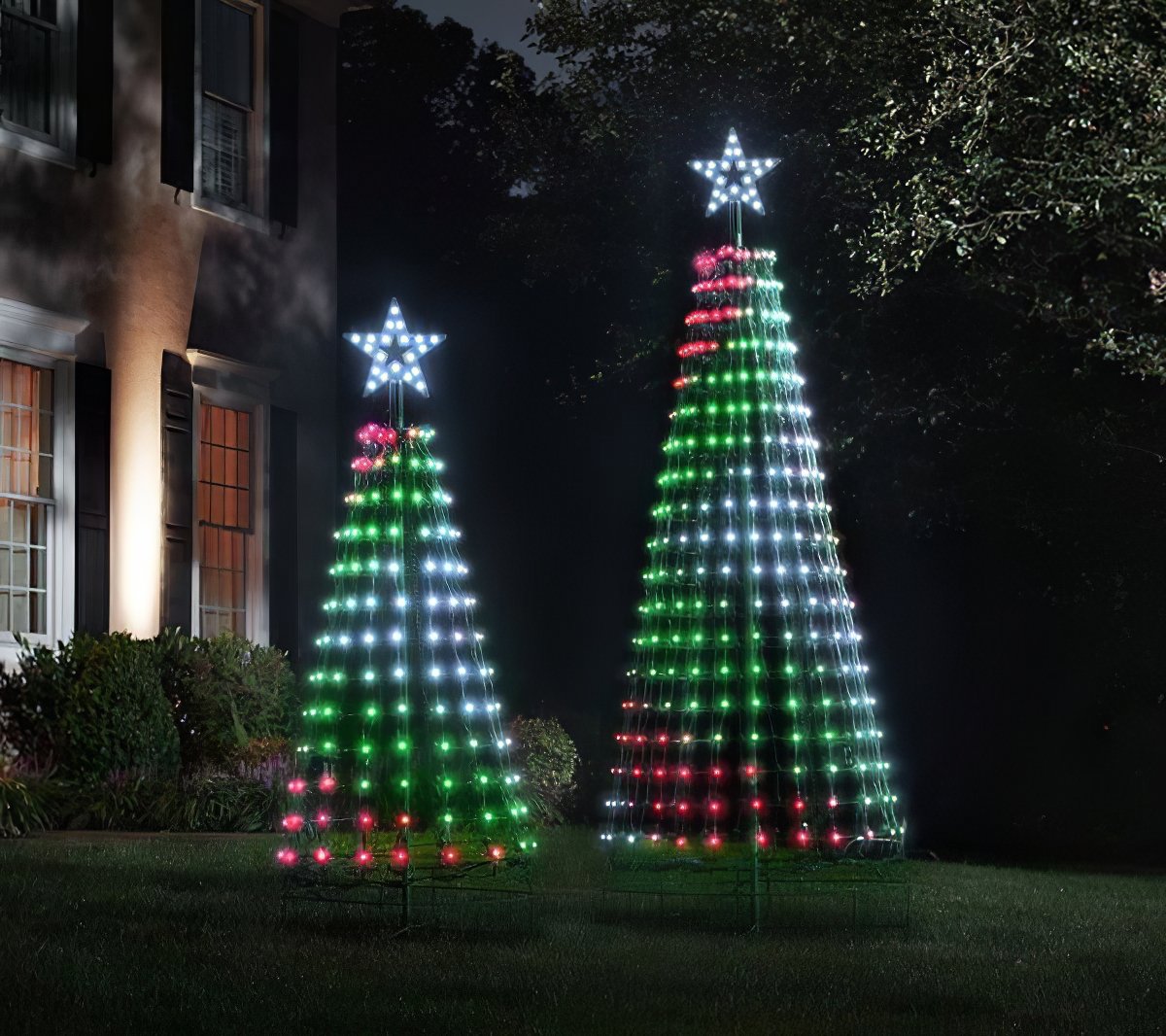 The Choreographed Light Show Tree