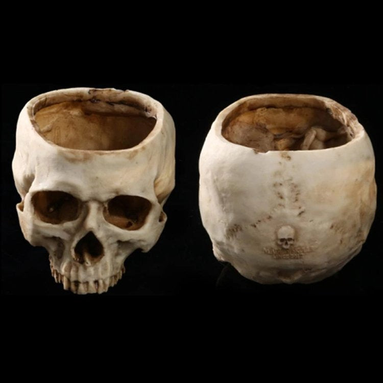 🎃HALLOWEEN SALE 49% OFF🎃HUMAN SKULL BOWL