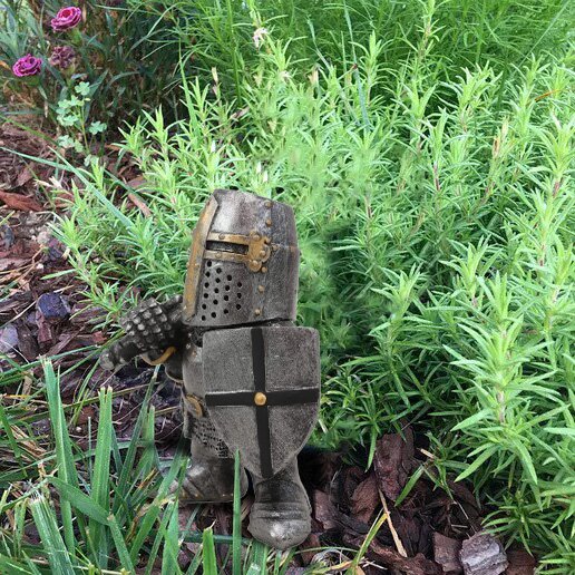 Knight Gnomes Guard